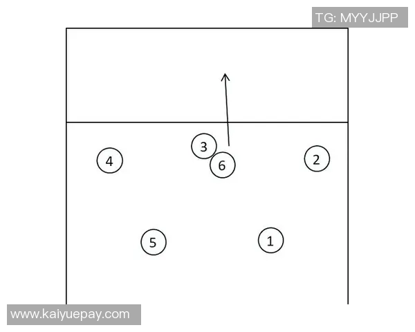 深圳排球队反击战术深度分析与实战应用探讨